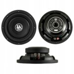 DLS Performance PS10